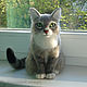 Cat Bonya photos, felted cat portrait likeness, Felted Toy, Sochi,  Фото №1
