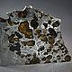 Метеорит Сеймчан коллекционный экземпляр подарок из космоса. Камни. MeteoriteArt. Ярмарка Мастеров.  Фото №6