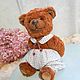 Мишка Топтыжка. Тедди. Мишки Тедди. STRUZHKA_Teddy_  (bayova). Ярмарка Мастеров.  Фото №4