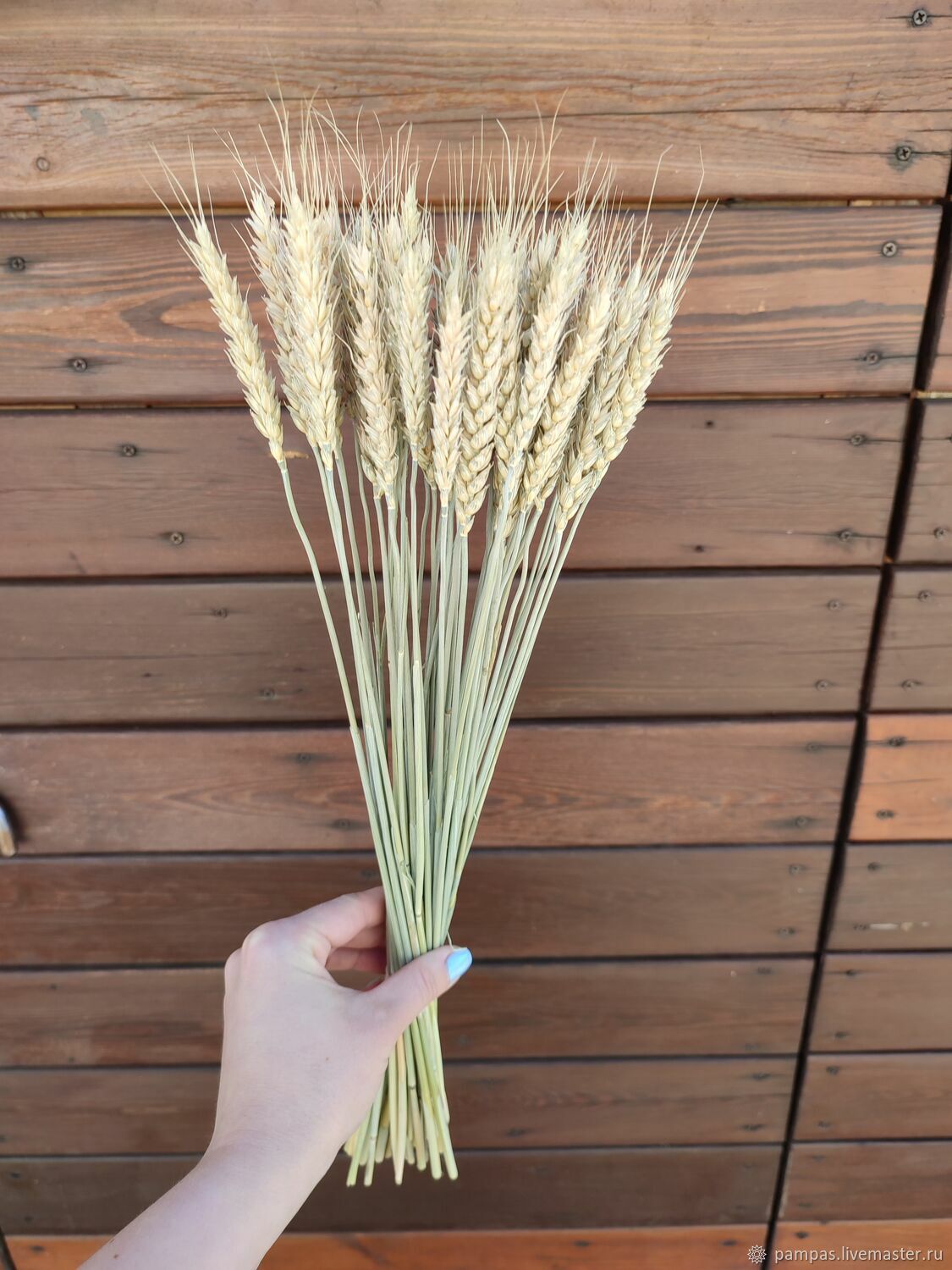 Сухая пшеница в интерьере