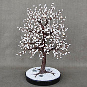Цветы и флористика handmade. Livemaster - original item Pearl Money Tree. Handmade.