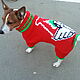 Jumpsuit for Jack Russell Terrier (2). Pet clothes. Irennovikova. Online shopping on My Livemaster.  Фото №2