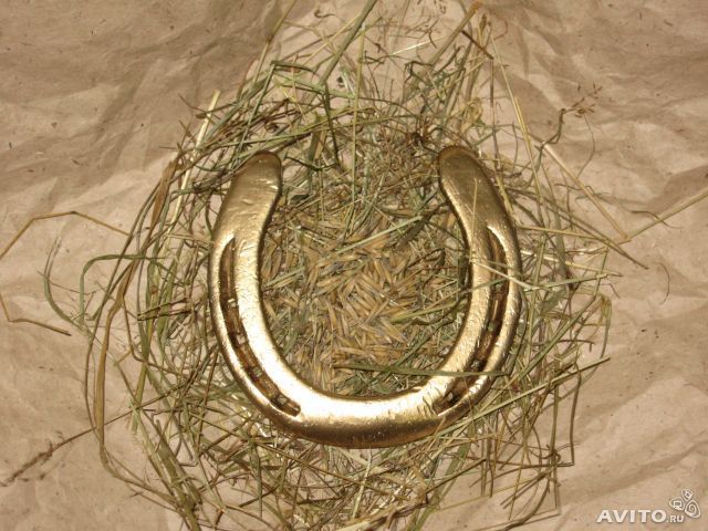 почему на каждой подковинке мастер. почему у левши нет имени. текст на рисовом зернышке. подкова над входной дверью. левша лесков текст.