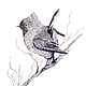 'Twitter outside the window' graphics (birds, minimalism), Pictures, Korsakov,  Фото №1