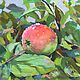 Яблочко на ветке, Картины, Санкт-Петербург,  Фото №1