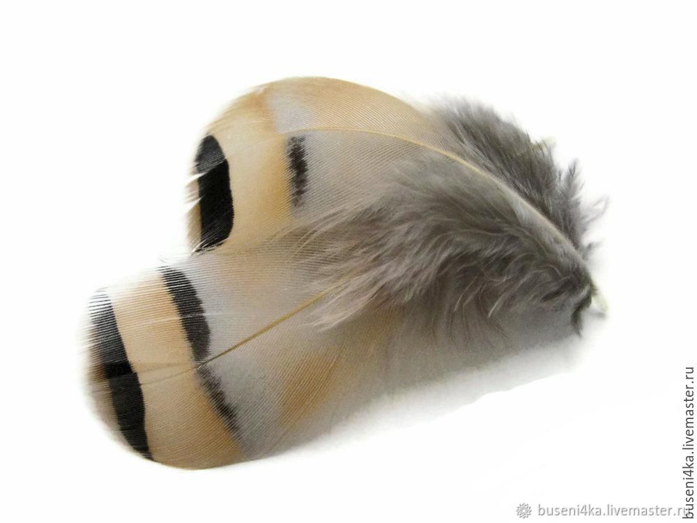 Перо Кисть бежевое 4-8см (1шт) в интернет-магазине на Ярмарке Мастеров ...