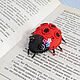 Brooch-pin: Ladybug. Brooches. Dolltime 14. My Livemaster. Фото №4
