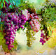 watercolor - the vineyards of Abrau Dyurso
