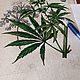 Order Cannabis: a botanical illustration in retro style. katfray. Livemaster. . Pictures Фото №3