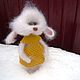 Soft toys: knitted crochet mouse Tasia. Stuffed Toys. Warm toys. Online shopping on My Livemaster.  Фото №2