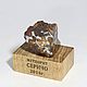Метеорит Серичо 55гр. Статуэтки. MeteoritеStyle. Ярмарка Мастеров.  Фото №5