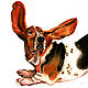 Basset hound beautiful realistic watercolor painting with a dog. Pictures. positive picture Helena Gold. My Livemaster. Фото №4