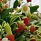 Земляника из полимерной глины(холодный фарфор). Растения. loryfleur. Интернет-магазин Ярмарка Мастеров.  Фото №2