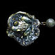 Order 'The Night before Magic', brooch with frog and pearls. legendavincento. Livemaster. . Brooches Фото №3