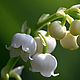 "Lily of the valley". Брошь-булавка. MarinaBelle. Ярмарка Мастеров.  Фото №6