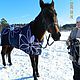 Попона для лошади. Аксессуары для питомцев. 'Элегант'.. Ярмарка Мастеров.  Фото №4
