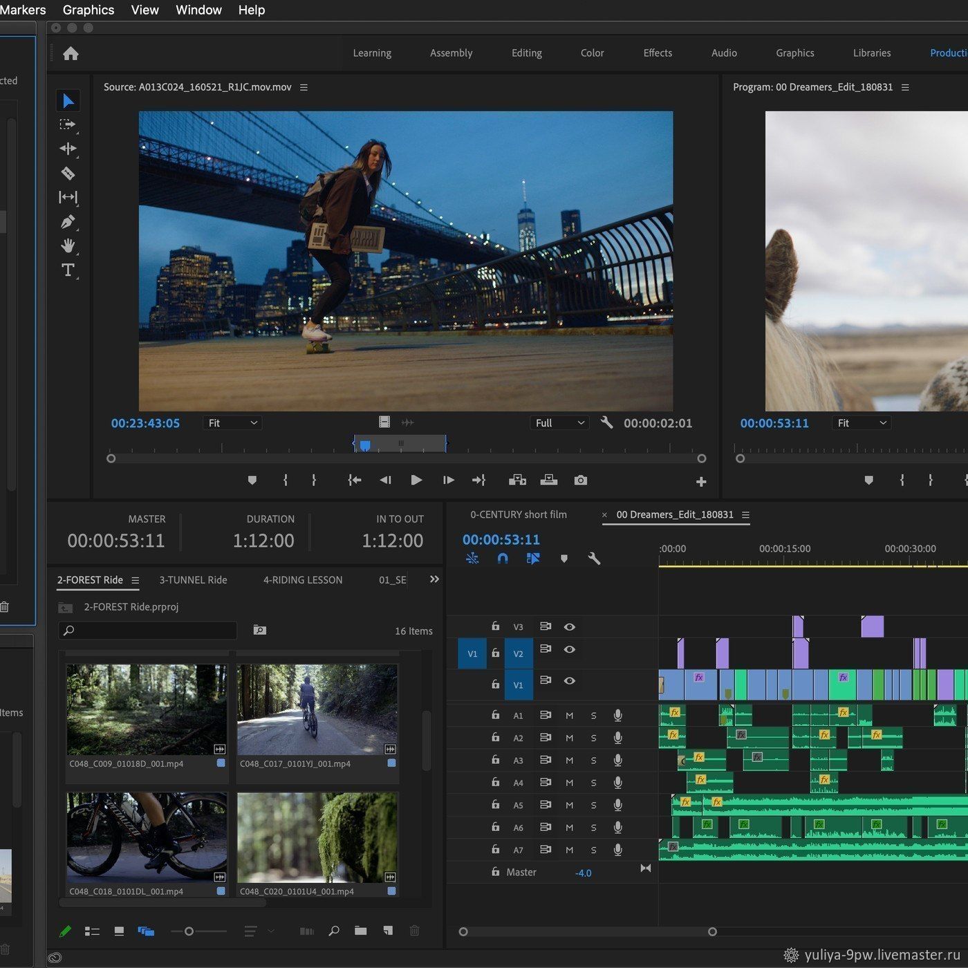 Adobe Premiere Pro 2022