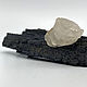 Кристалл шерла с кальцитом. Кристалл. MYSTONES. Интернет-магазин Ярмарка Мастеров.  Фото №2