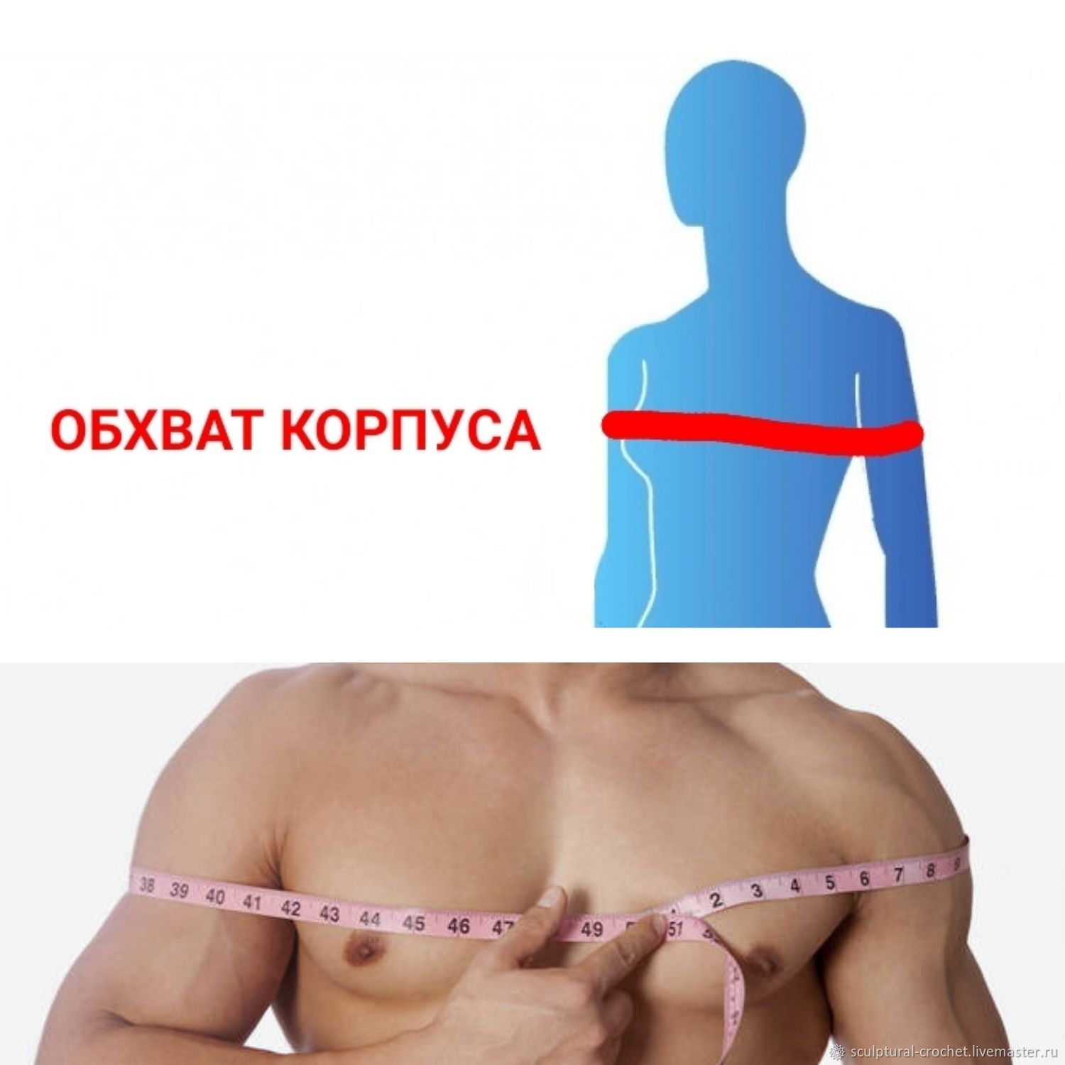 как правильно измерять грудь у мужчин фото 78