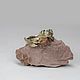Delicate white gold twig ring with ruby. Rings. Unusual Gemstone Jewelry. Online shopping on My Livemaster.  Фото №2