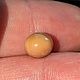 Природный редкий дикий жемчуг Мело(Melo), 3,09ct.сертифицирован, Минералы, Москва,  Фото №1