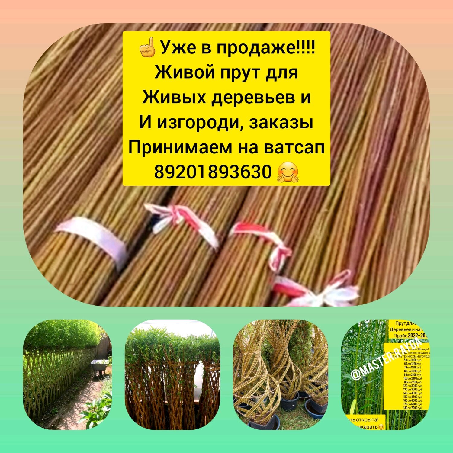 Живой прут для плетения деревьев в интернет-магазине на Ярмарке Мастеров |  Ограждения и заборчики, Максатиха - доставка по России. Товар продан.