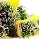 Заказать Ромашки Полевой букет Упаковка бесплатно. DARK FLORIST Флористика Декор ЦВЕТЫ. Ярмарка Мастеров. . Букеты Фото №3