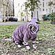 Cat clothes Plush jumpsuit 'Lavender', Pet clothes, Biisk,  Фото №1