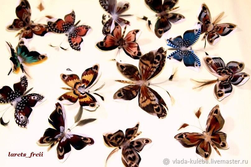 Птички, бабочки, насекомые: Бабочка декоративная (перо)