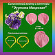 Eustoma Terry set of silicone viners and cutters, Molds for making flowers, Rostov-on-Don,  Фото №1