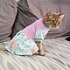Clothing for cats 'Dress Romance', Pet clothes, Biisk,  Фото №1