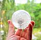 Glass sphere small 6 cm "Dandelion", Christmas gifts, Anapa,  Фото №1