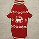 Свитер для собак и кошек-сфинксов, Одежда для питомцев, Воронеж,  Фото №1