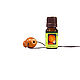 Аромапара - эфирное масло апельсина и кулон из березы. NK21. Кулон. ART OF SIBERIA. Интернет-магазин Ярмарка Мастеров.  Фото №2