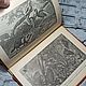 Винтаж: Книга — "Земля и мир животных" 1905 год. Книги винтажные. Antikvarbuk. Ярмарка Мастеров.  Фото №4