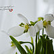 Snowdrops. Interior arrangement. Flowers. KG_flowers. Online shopping on My Livemaster.  Фото №2