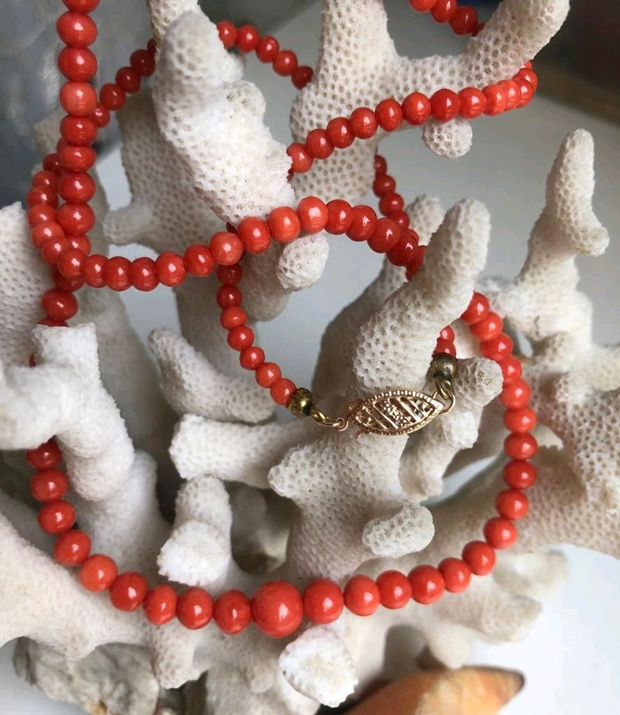 Италия кораллы. Акропа шоколадные веточки коралл. Италия кораллы. Колье коралл идеи. Колье коралл веточки.