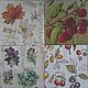 Napkins for decoupage in stock, Napkins for decoupage, Moscow,  Фото №1