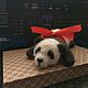 Panda. Stuffed Toys. AlbaTigrisStudio. Online shopping on My Livemaster.  Фото №2