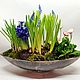 Аранжировка "Крокусы в стекле" цветы растения на 8 марта. Растения. DARK FLORIST Флористика Декор ЦВЕТЫ. Ярмарка Мастеров.  Фото №5