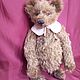 Медведь Тедди, 40 см. Мягкие игрушки. Elena Nesterova.Teddy. Ярмарка Мастеров.  Фото №9
