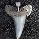Pendant with a fossilized shark tooth. Pendant. Elena Shevchenko  jeweller (odoli). Online shopping on My Livemaster.  Фото №2