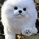 Pomeranian Spitz. Name: Snow Frost, Stuffed Toys, Moscow,  Фото №1