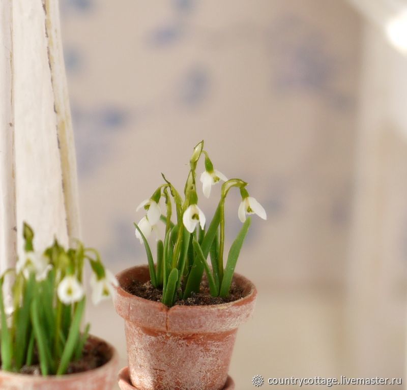 �������� � ������� ���� �����