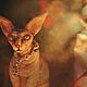  кото-Фей. Кукла-оберег. Voodoo Forest. Ярмарка Мастеров.  Фото №6