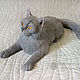 Cat Baron British breed / cat British felted wool, Felted Toy, Sochi,  Фото №1