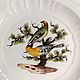Винтаж:  Тарелка Meissen с птицами 19 век. Тарелки винтажные. Phoenix Antique • Феникс Антик. Ярмарка Мастеров.  Фото №4