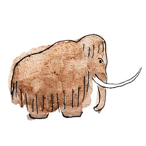 Схема woolly mammoth