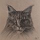  ' Portrait of a cat' - pastel drawing, Pictures, Ekaterinburg,  Фото №1