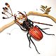 Жук Рогач или жук Олень. Lucanus cervus (фигурка). Статуэтки. Букашки. Интернет-магазин Ярмарка Мастеров.  Фото №2